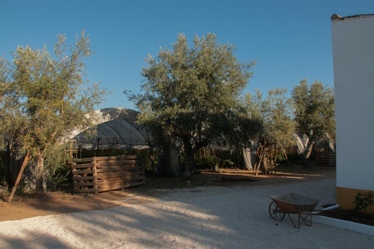 Quinta De Santana Da Varzea Abrantes Exterior foto
