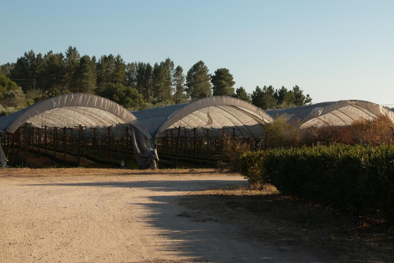 Quinta De Santana Da Varzea Abrantes Exterior foto